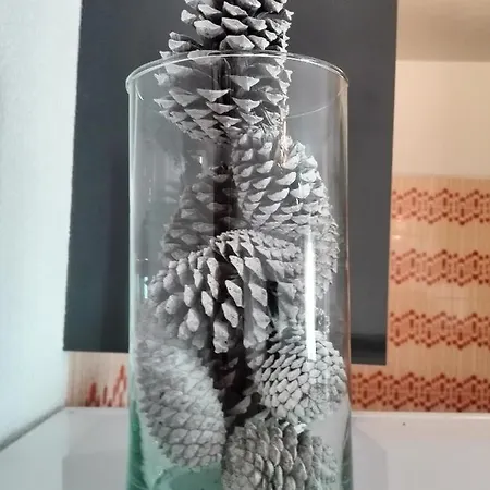 Arrifana View Flat - 2km Arrifana * Aljezur