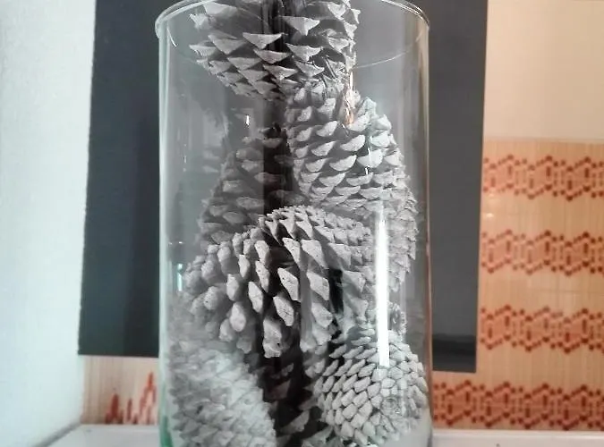 Arrifana View Flat - 2km Arrifana * アルジェズール